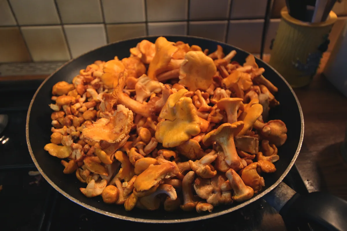 Girolles revenues à la poêle au beurre